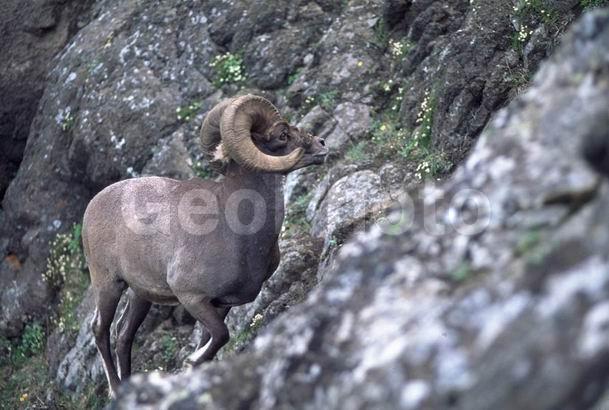 �����, ����, ��������, �����, �������������, �����, �������