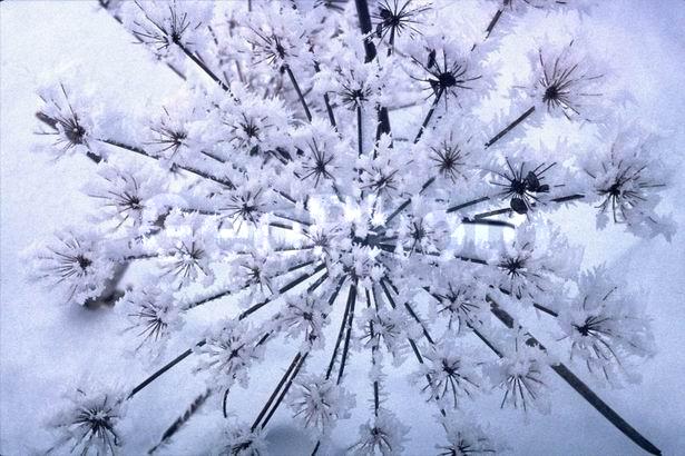 ������, ����, ���, �����, ��������, ��������, ����