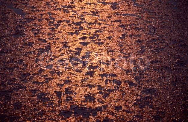 �������, �����, ����, ��������, ���, ����, �����, �����, ����, �����, �����