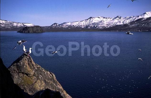 �����, ������, ��������, ��������, �������, ������, �����, �����, �����, �����