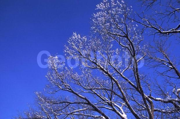 ������, ����, ���������, ��������, ���, �����, ����������, ��������, ����