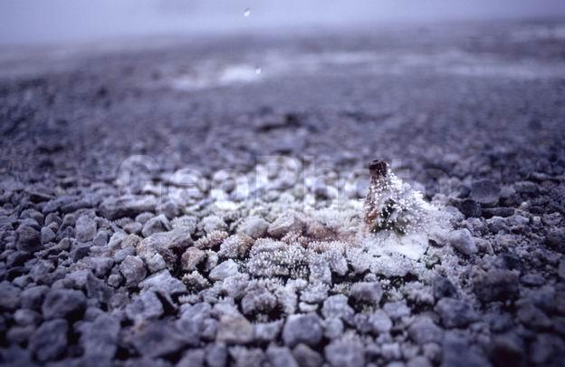 ��������, ������, ��������, ������, ���������, ������, �������, �����, ��������, �����, �����