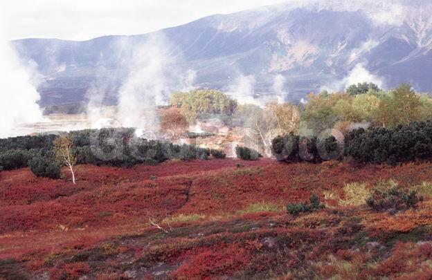 ��������, ������, ��������, ������, ���������, ������, �������, �����, ��������, �����, �����, ��������