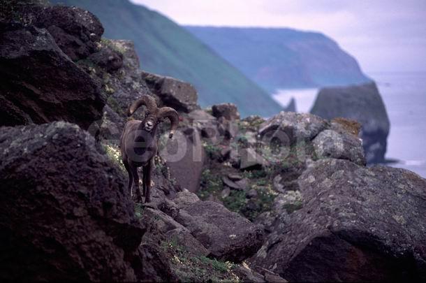 �����, ����, ��������, �����, �������������, �����, �������