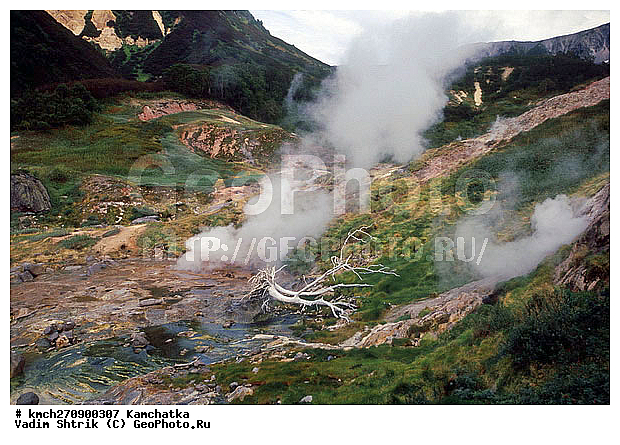 ��������, ������, ������ ��������