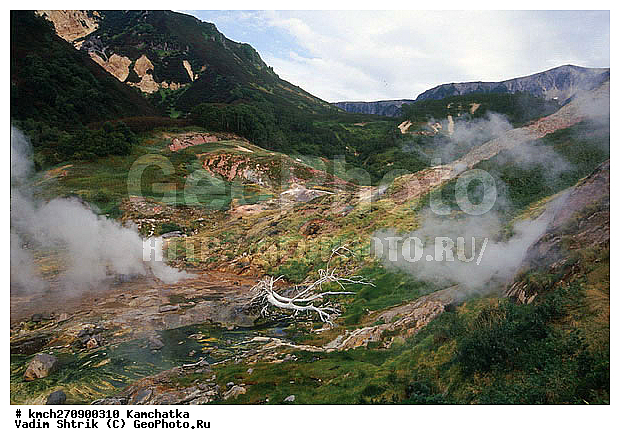 ��������, ������, ������ ��������