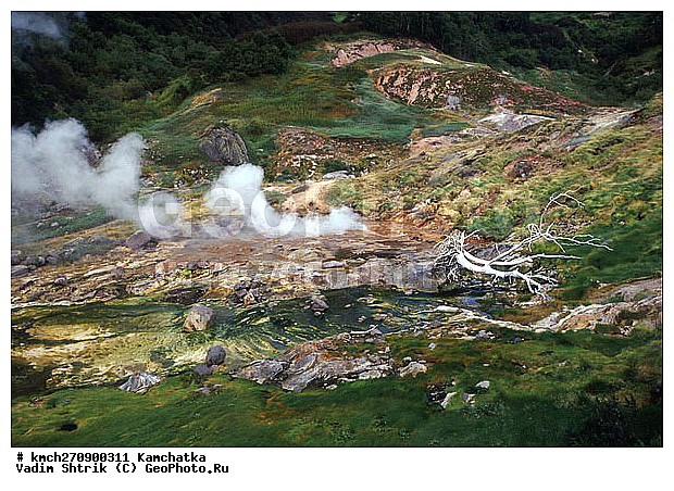 ��������, ������, ������ ��������