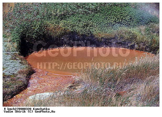 ��������, ������ ��������