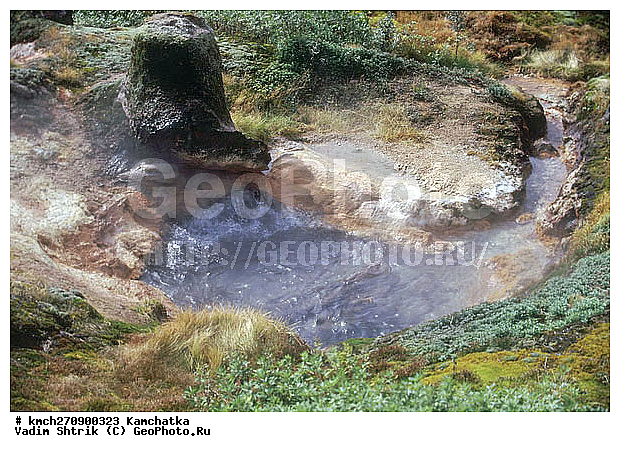 ��������, ������, ������ ��������