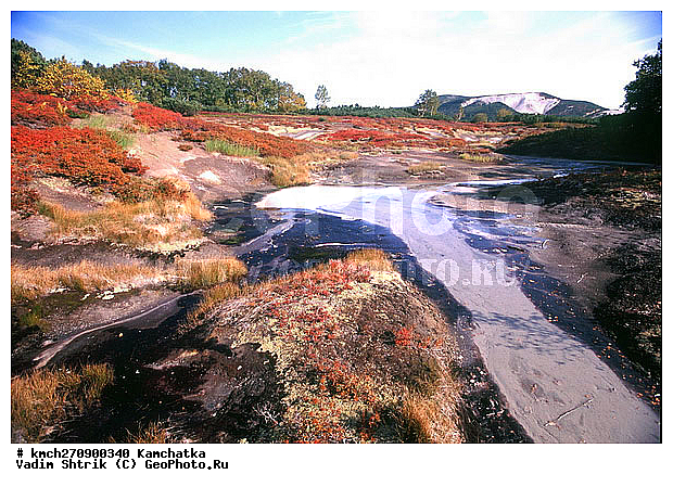 ��������, ����, ���������, �������, ��������, �����, ����������