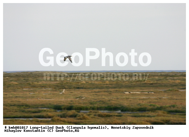 �������� ������