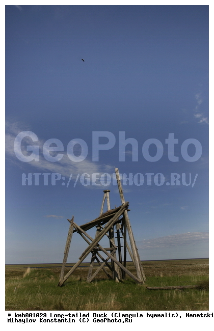 �������� ������