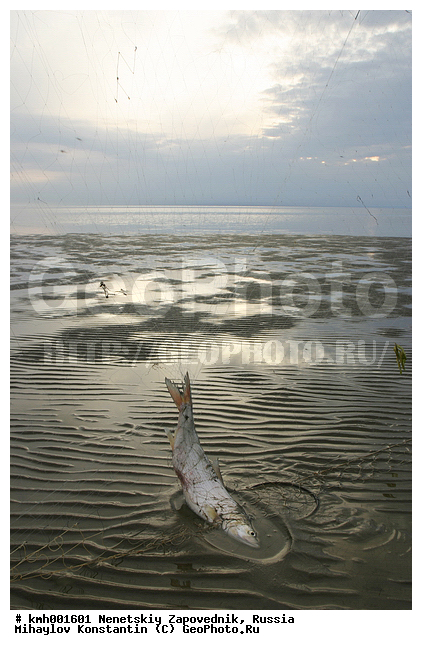 �������� ������