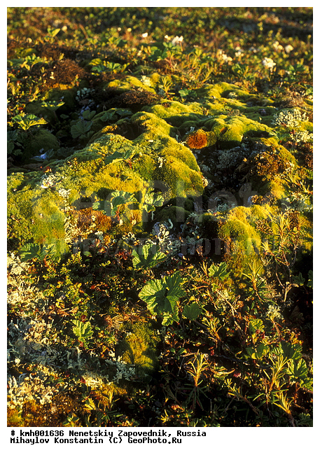 �������� ������