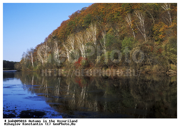 �����, ����������� �����