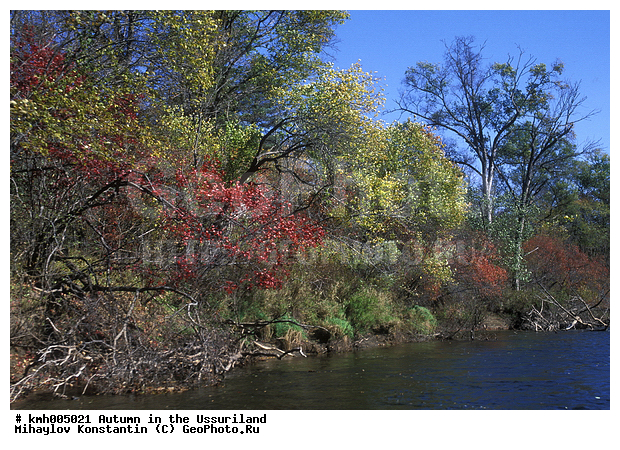 �����, ����������� �����