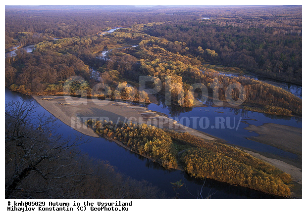 �����, ����������� �����