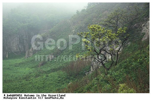 �����, ����������� �����