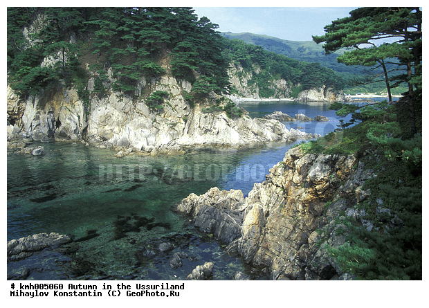 �����, ����������� �����