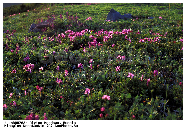 ���������� ����, ������, ���������� ��������������, ���������, ������� ���, ��������, ������, ��������, �����