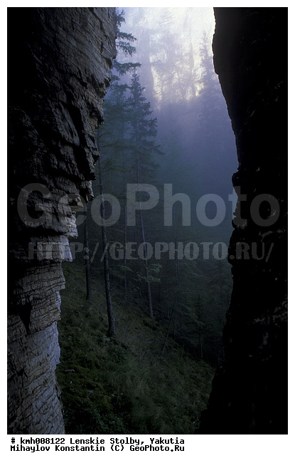 ����, ������� ������, ������, �������, �������� �������, ���� ����, ������