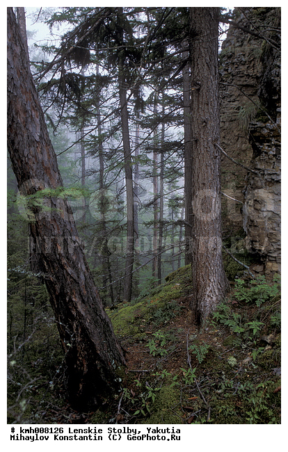 ����, ������� ������, ������, �������, �������� �������, ���� ����, ������