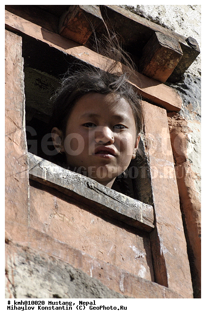 �������, �����