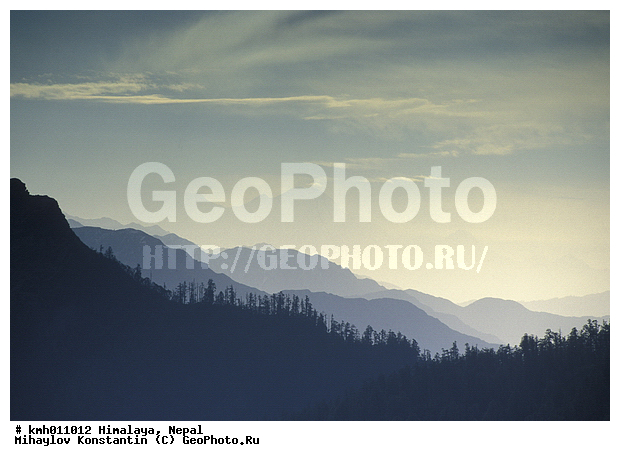 �������, �����