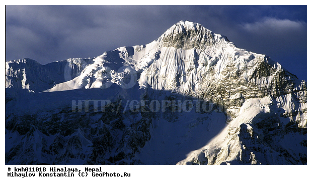 �������, �����