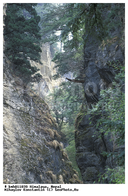 �������, �����