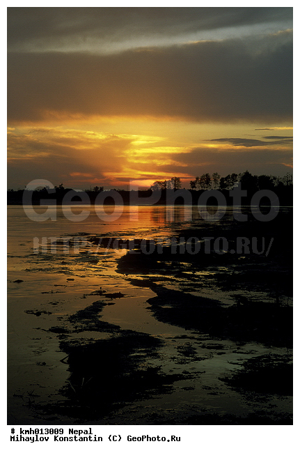 �����, ������� ������, �������