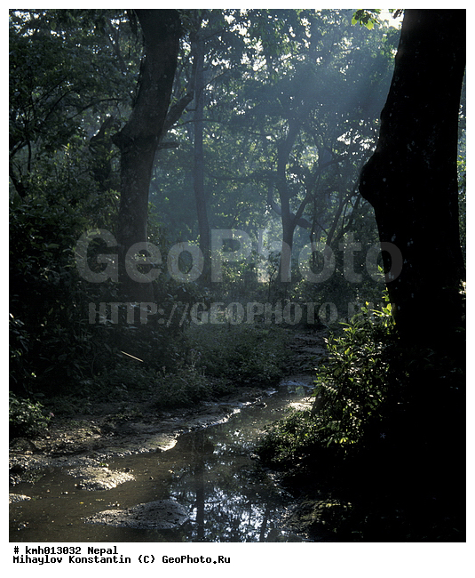 �����, ������� ������, �������