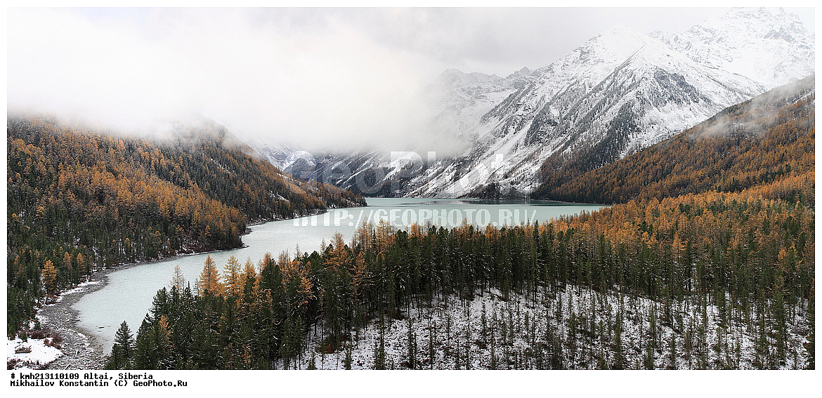 �����, ������