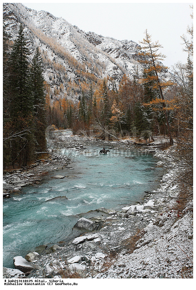 �����, ������