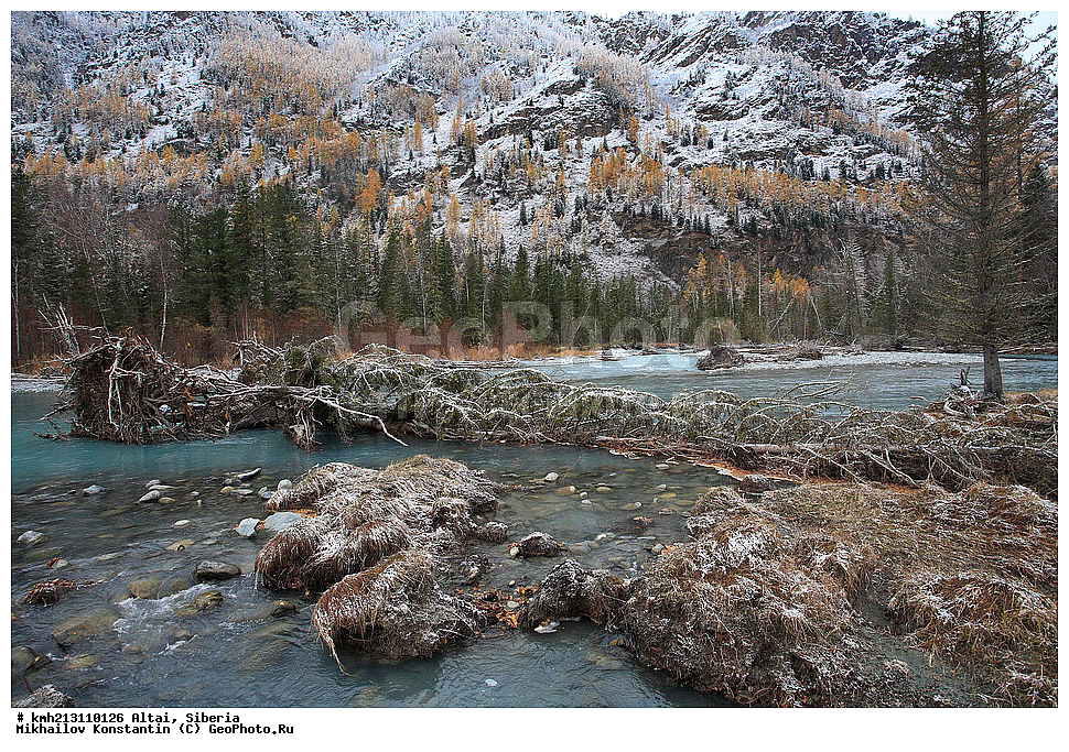 �����, ������