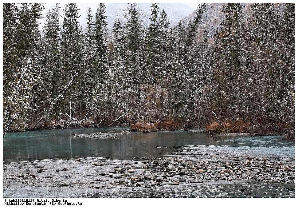 �����, ������