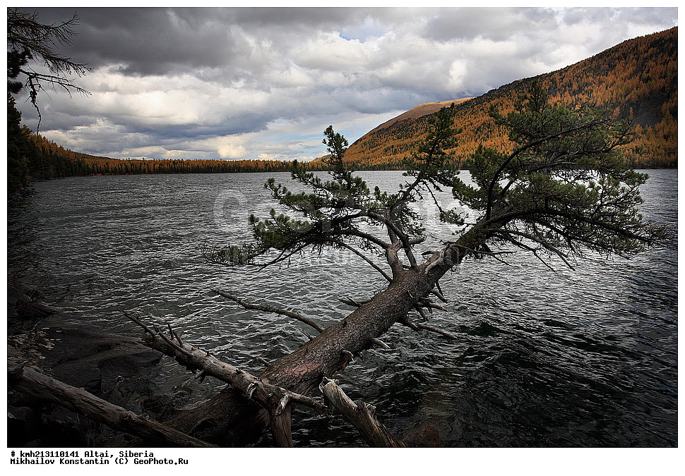 �����, ������, �����, ��������� ������, ��������� ������������ ����,  �����, ���������, ��������� ������, ������, ������ ����, ����, ����� �������, ����������, ���������, ������� �����, ���, �����, �����, ��������, ��������, ������, �����, ������  