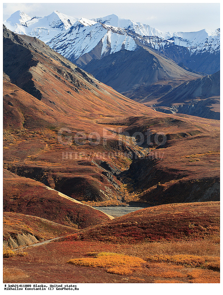 ������, �������� �������