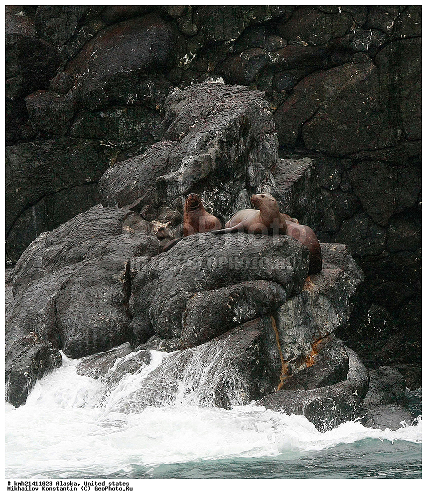 ������, ���, ������