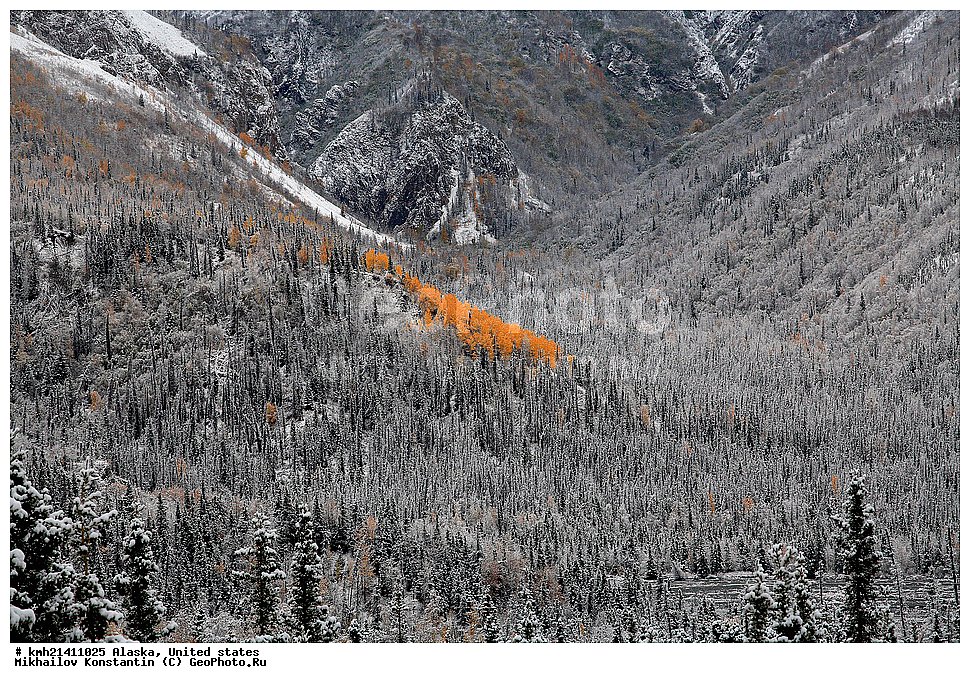 �������� �������, ���������� ����, ���, ����� ���, �����, �������