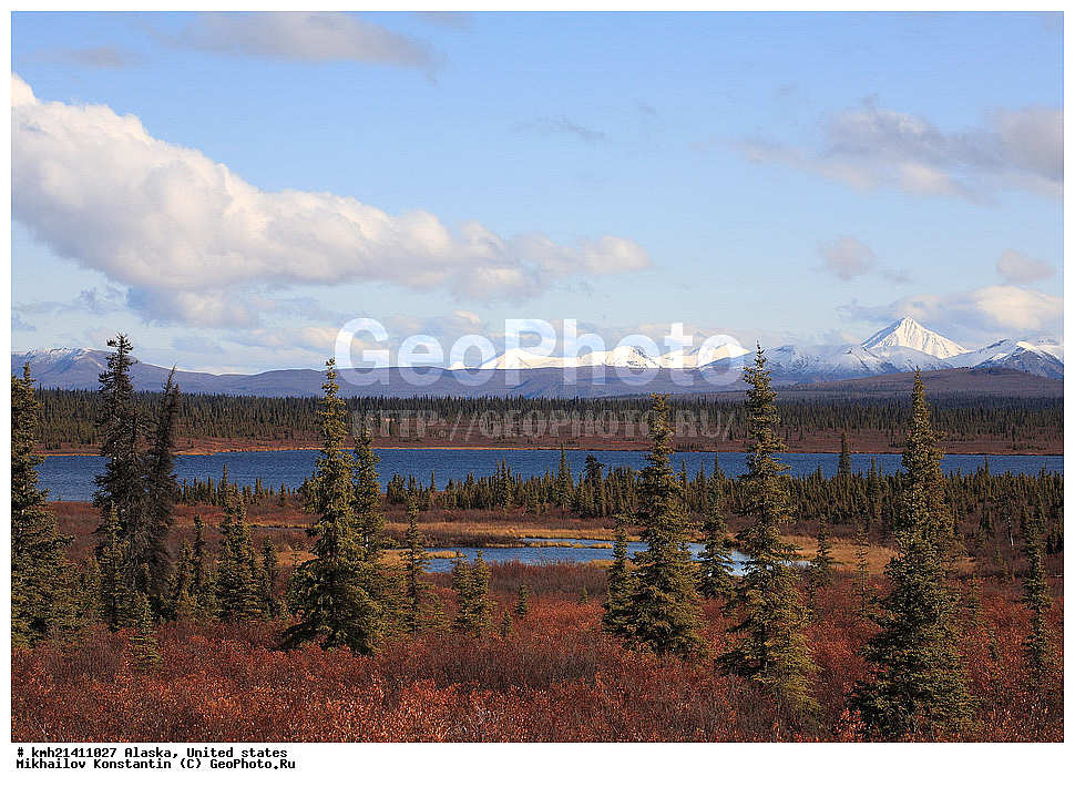 �������� �������, ���������� ����, ���, ����� ���, �����, �������