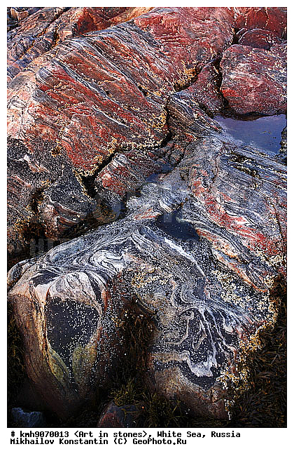 ����� ����, ������, ���, �����, ������, �����, ����, ������ �����, �������, �����, ��������, �������