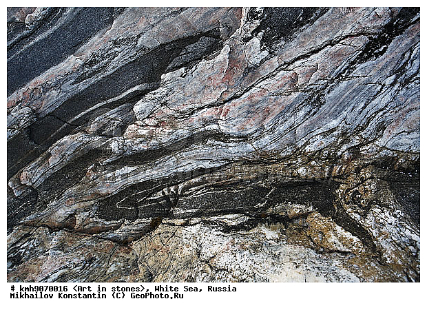 ����� ����, ������, ���, �����, ������, �����, ����, ������ �����, �������, �����, ��������, �������