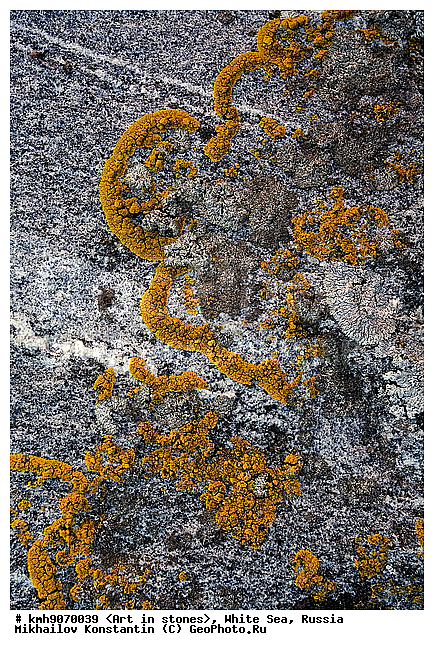 ����� ����, ������, ���, �����, ������, �����, ����, ������ �����, �������, �����, ��������, �������