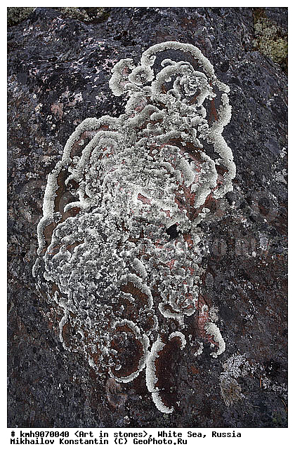 ����� ����, ������, ���, �����, ������, �����, ����, ������ �����, �������, �����, ��������, �������