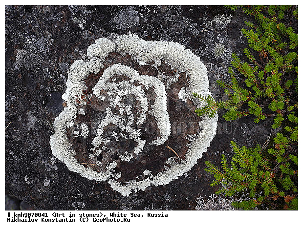 ����� ����, ������, ���, �����, ������, �����, ����, ������ �����, �������, �����, ��������, �������