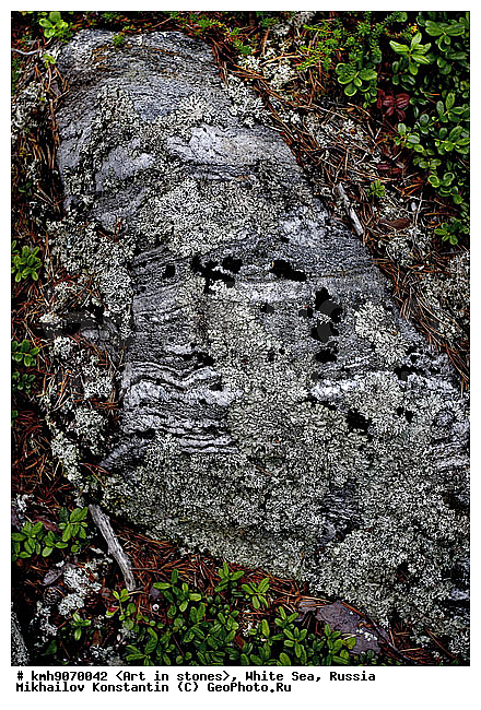 ����� ����, ������, ���, �����, ������, �����, ����, ������ �����, �������, �����, ��������, �������