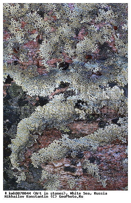 ����� ����, ������, ���, �����, ������, �����, ����, ������ �����, �������, �����, ��������, �������