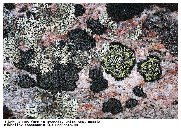 ����� ����, ������, ���, �����, ������, �����, ����, ������ �����, �������, �����, ��������, �������