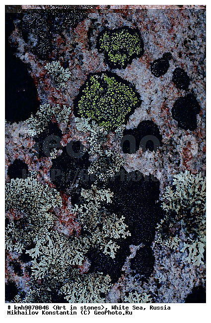 ����� ����, ������, ���, �����, ������, �����, ����, ������ �����, �������, �����, ��������, �������